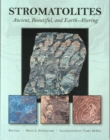 Stromatolites : Ancient, Beautiful, and Earth-Altering - Book