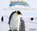 How Penguins Grow Up - eBook