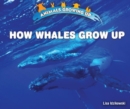 How Whales Grow Up - eBook