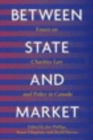 Between State and Market : Essay on Charities Law and Policy in Canada - eBook