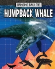 Humpback Whale : Bringing Back The - Book