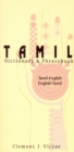 Tamil-English/English-Tamil Dictionary & Phrasebook: Romanized - Book