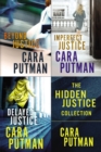 The Hidden Justice Collection : Beyond Justice, Imperfect Justice, Delayed Justice - eBook