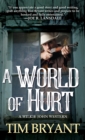 A World of Hurt - eBook