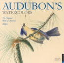 Audubon’s Watercolors 2024 Wall Calendar - Book