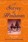 A Survey of Hinduism : Third Edition - eBook