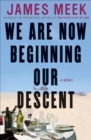 We Are Now Beginning Our Descent : A Novel - eBook