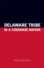 Delaware Tribe in a Cherokee Nation - eBook