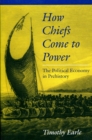 How Chiefs Come to Power : The Political Economy in Prehistory - Book