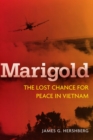 Marigold : The Lost Chance for Peace in Vietnam - eBook