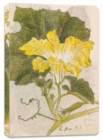 Japanese Squash Blossom Lined Paperback Journal : Blank Notebook with Pocket - Book