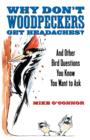 Why Don't Woodpeckers Get Headaches? - eBook