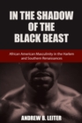 In the Shadow of the Black Beast : African American Masculinity in the Harlem and Southern Renaissances - eBook