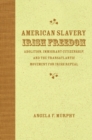 American Slavery, Irish Freedom : Abolition, Immigrant Citizenship, and the Transatlantic Movement for Irish Repeal - eBook