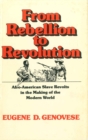 From Rebellion to Revolution : Afro-American Slave Revolts in the Making of the Modern World - eBook