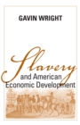 Slavery and American Economic Development - eBook