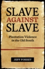Slave against Slave : Plantation Violence in the Old South - eBook