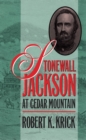 Stonewall Jackson at Cedar Mountain - eBook