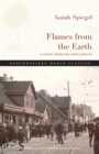 Flames from the Earth : A Novel from the Lodz Ghetto - eBook