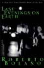Last Evenings on Earth - eBook