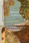 Beauty Is a Wound - eBook