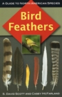 Bird Feathers : A Guide to North American Species - eBook