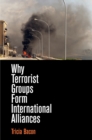 Why Terrorist Groups Form International Alliances - eBook