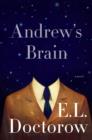 Andrew's Brain - eBook