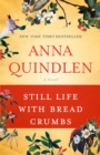 Still Life with Bread Crumbs - eBook