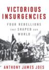 Victorious Insurgencies : Four Rebellions that Shaped Our World - eBook