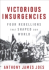 Victorious Insurgencies : Four Rebellions that Shaped our World - eBook