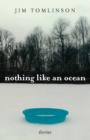 Nothing Like an Ocean : Stories - eBook