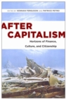 After Capitalism : Horizons of Finance, Culture, and Citizenship - eBook