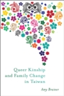 Queer Kinship and Family Change in Taiwan - eBook