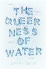 The Queerness of Water : Troubled Ecologies in the Eighteenth Century - eBook
