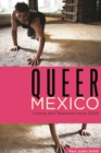 Queer Mexico : Cinema and Television since 2000 - eBook