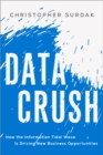 Data Crush : How the Information Tidal Wave Is Driving New Business Opportunities - eBook