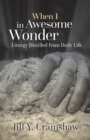 When I in Awesome Wonder : Liturgy Distilled from Daily Life - eBook