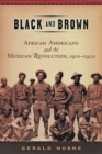 Black and Brown : African Americans and the Mexican Revolution, 1910-1920 - eBook