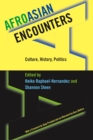 AfroAsian Encounters : Culture, History, Politics - eBook