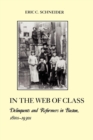 In the Web of Class : Delinquents and Reformers in Boston, 1810s-1930s - eBook