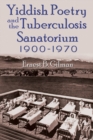 Yiddish Poetry and the Tuberculosis Sanatorium : 1900-1970 - eBook