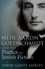 Meir Aaron Goldschmidt and the Poetics of Jewish Fiction - eBook