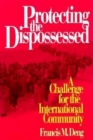 Protecting the Dispossessed : A Challenge for the International Community - eBook