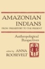 Amazonian Indians from Prehistory to the Present : Anthropological Perspectives - eBook