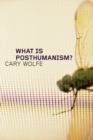 What Is Posthumanism? - Book