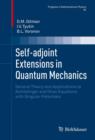 Self-adjoint Extensions in Quantum Mechanics : General Theory and Applications to Schrodinger and Dirac Equations with Singular Potentials - eBook