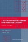A Path to Combinatorics for Undergraduates : Counting Strategies - eBook