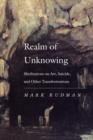 Realm of Unknowing : Meditations on Art, Suicide, and Other Transformations - eBook
