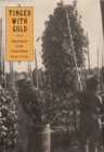 Tinged with Gold : Hop Culture in the United States - eBook